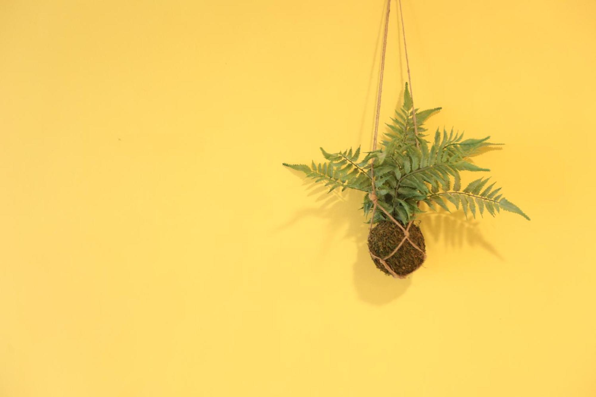 小巷微光 Apartment Lyudao Luaran gambar